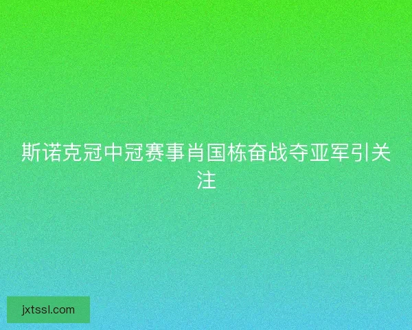 斯诺克冠中冠赛事肖国栋奋战夺亚军引关注
